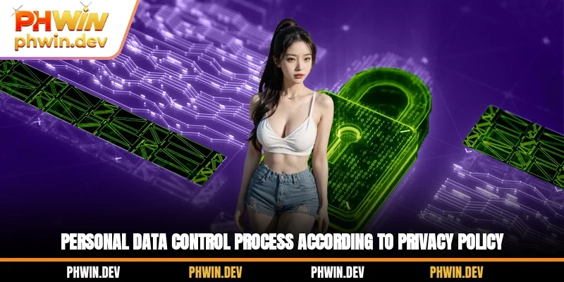 Personal data control process according to privacy policy