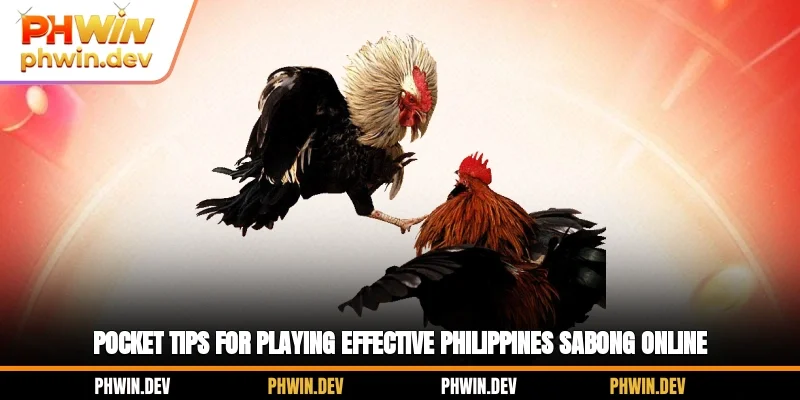 Pocket tips for playing effective Philippines sabong online