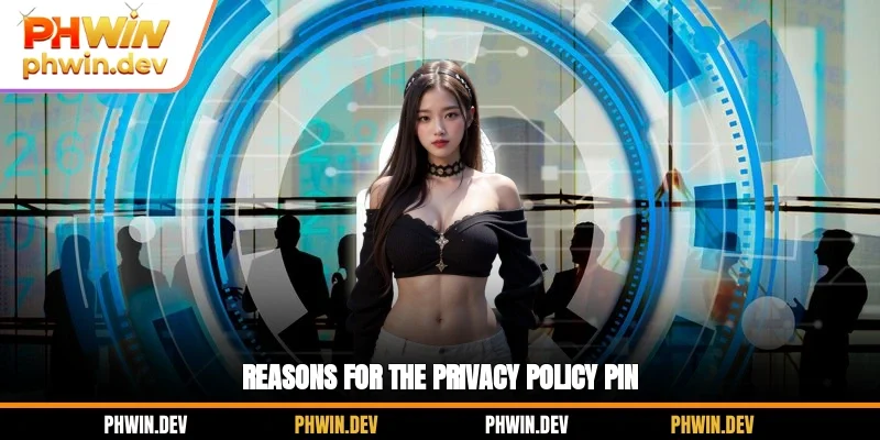 Reasons for the privacy policy PIN